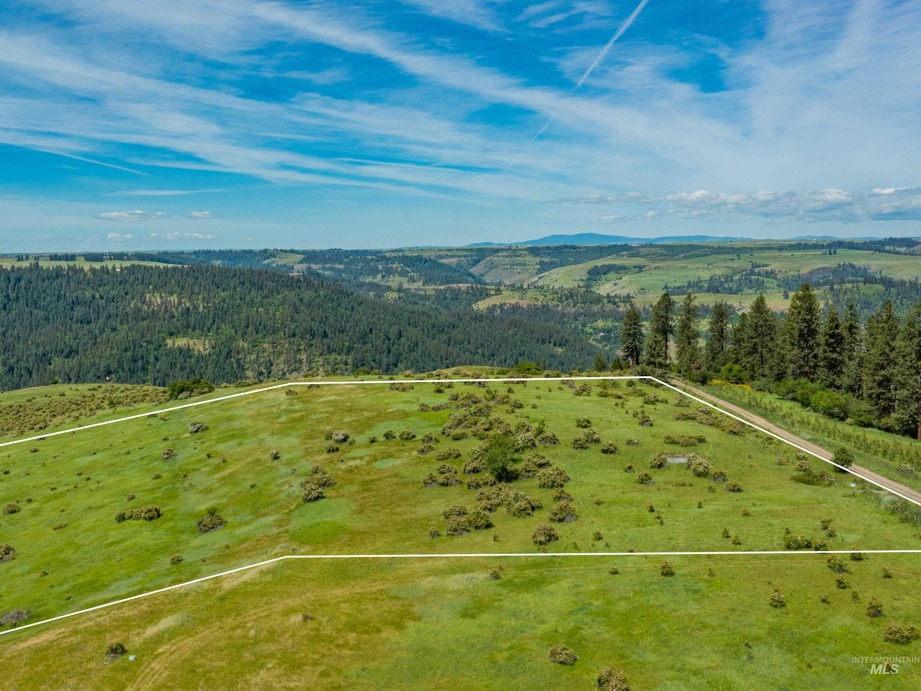 Tbd Brotnov Road Stites, ID 83552 - Photo 9 of 28