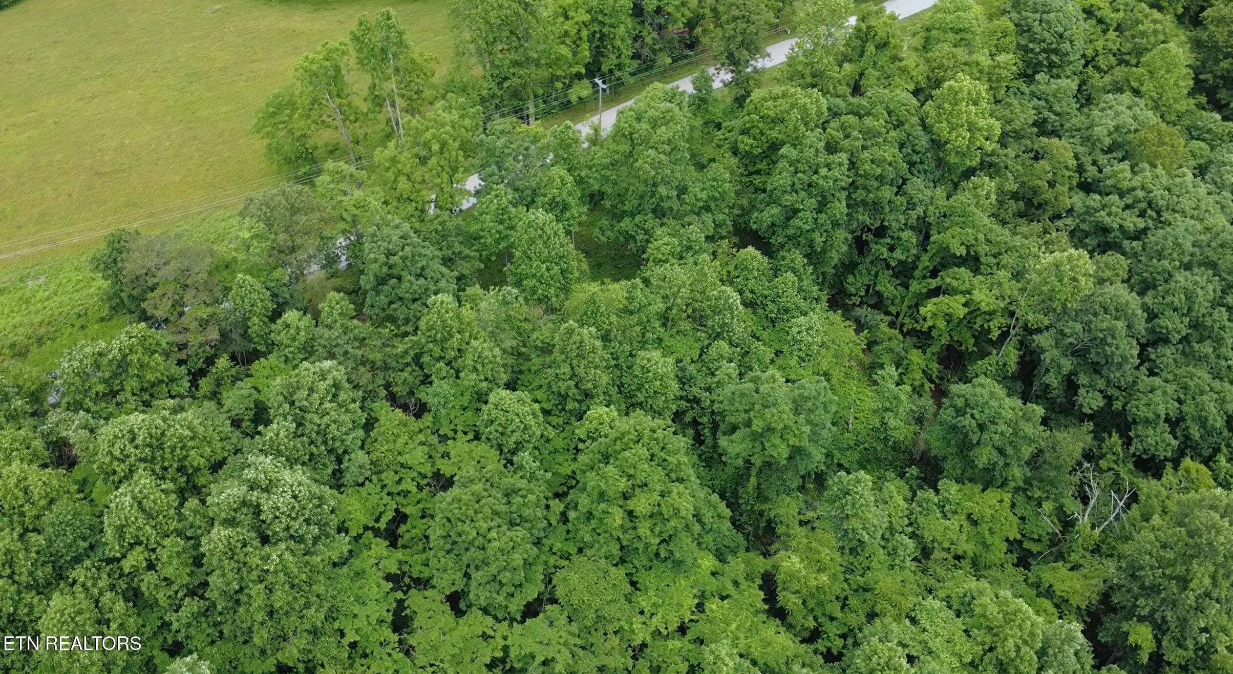 4160 Demory Road La Follette, TN 37766 - Photo 24 of 34 Demory Turkey Cove