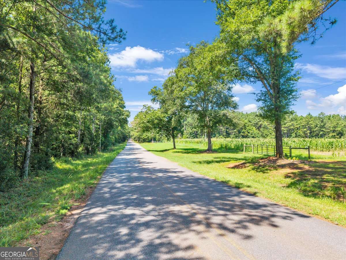 336 Piney Grove Road Comer, GA 30629 - Photo 2 of 20