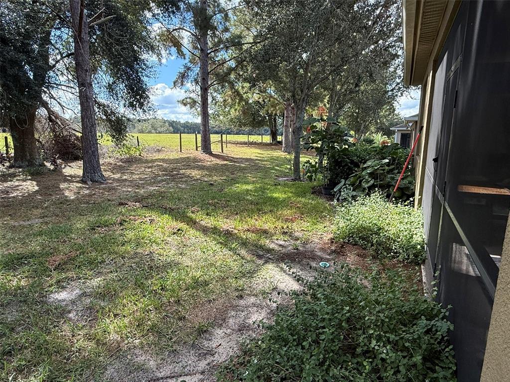 21846 Belgian Court Mount Dora, FL 32757 - Photo 24 of 29 a view of yard with tree