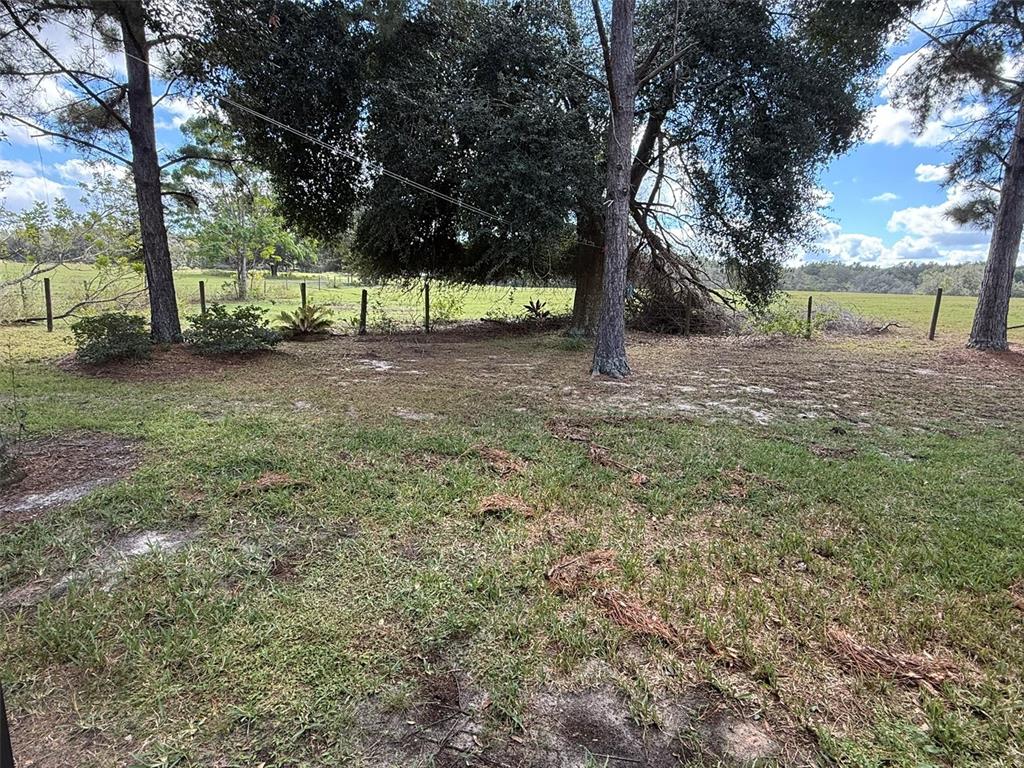 21846 Belgian Court Mount Dora, FL 32757 - Photo 25 of 29 a view of a yard with a tree