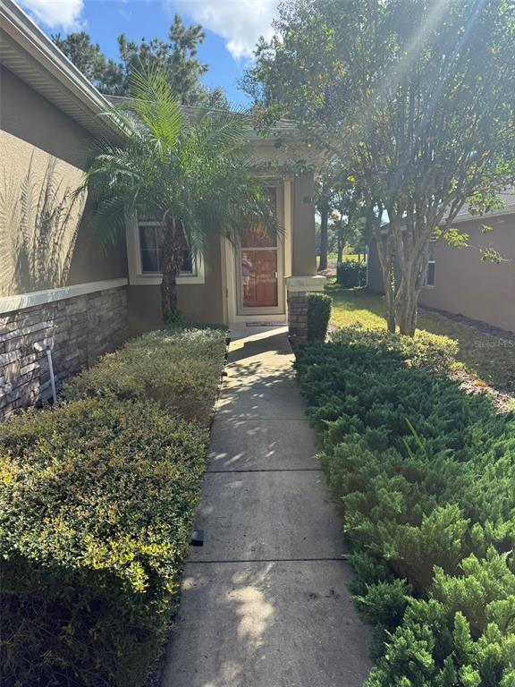 21846 Belgian Court Mount Dora, FL 32757 - Photo 3 of 29 a view of a yard with plants and trees