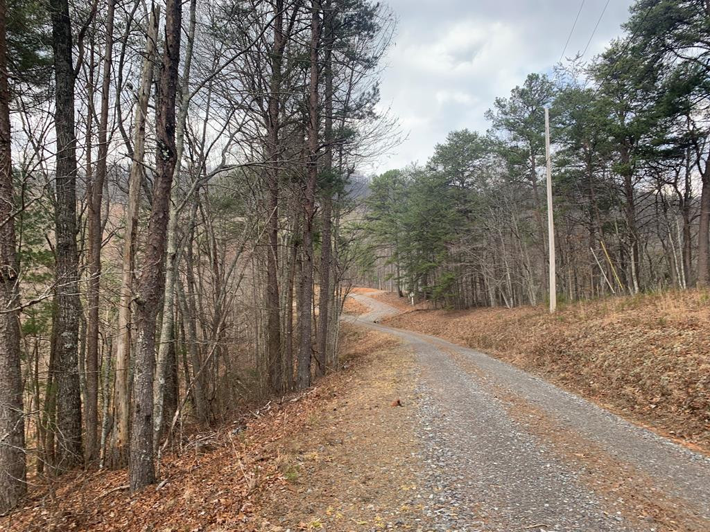 Lot 20 Wolf Ridge Lane Murphy, NC 28906 - Photo 1 of 27 Main View