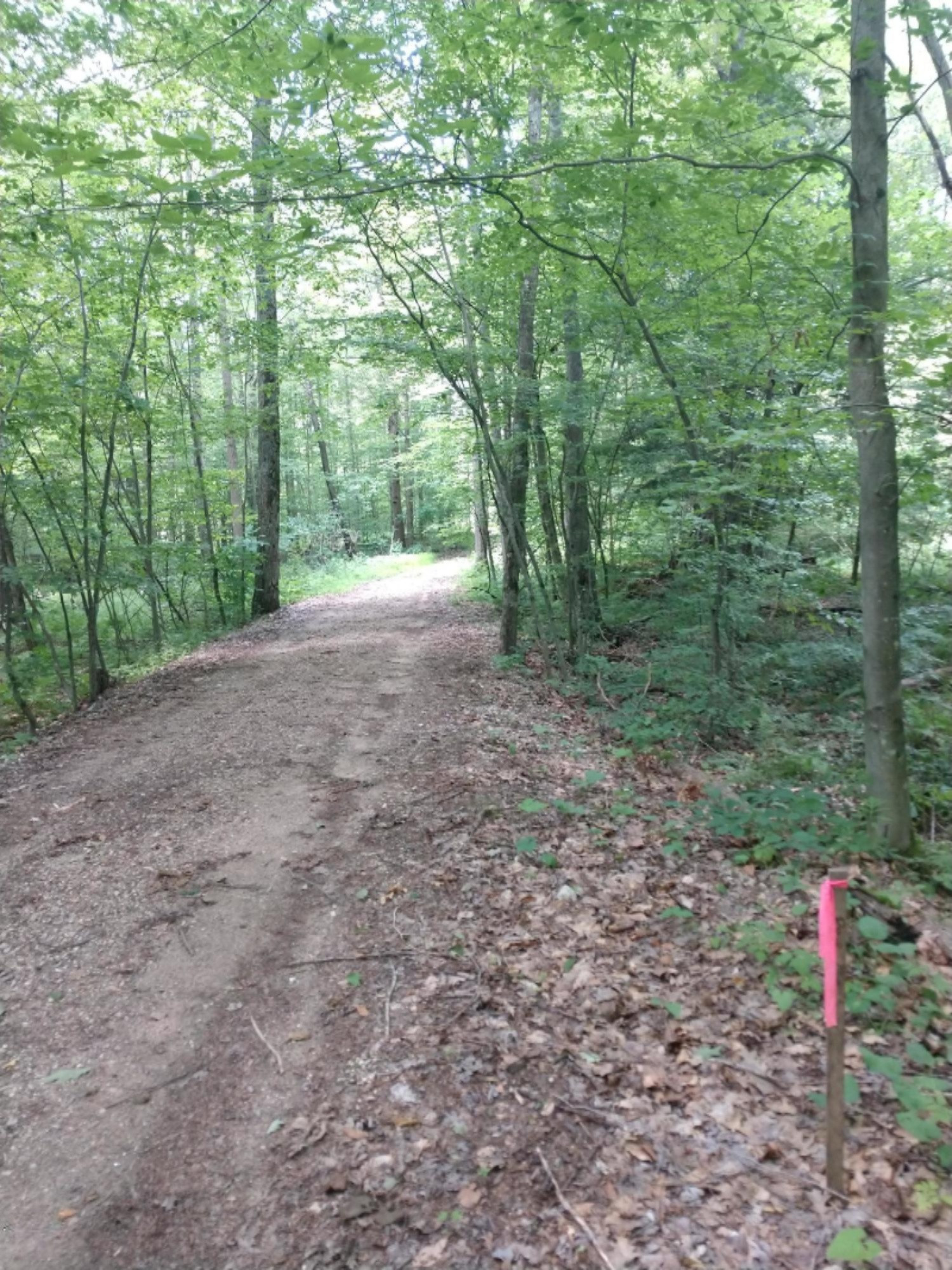 0 East Kent Road, Unit LOT C Rothbury, MI 49452 - Photo 11 of 17 NE marker