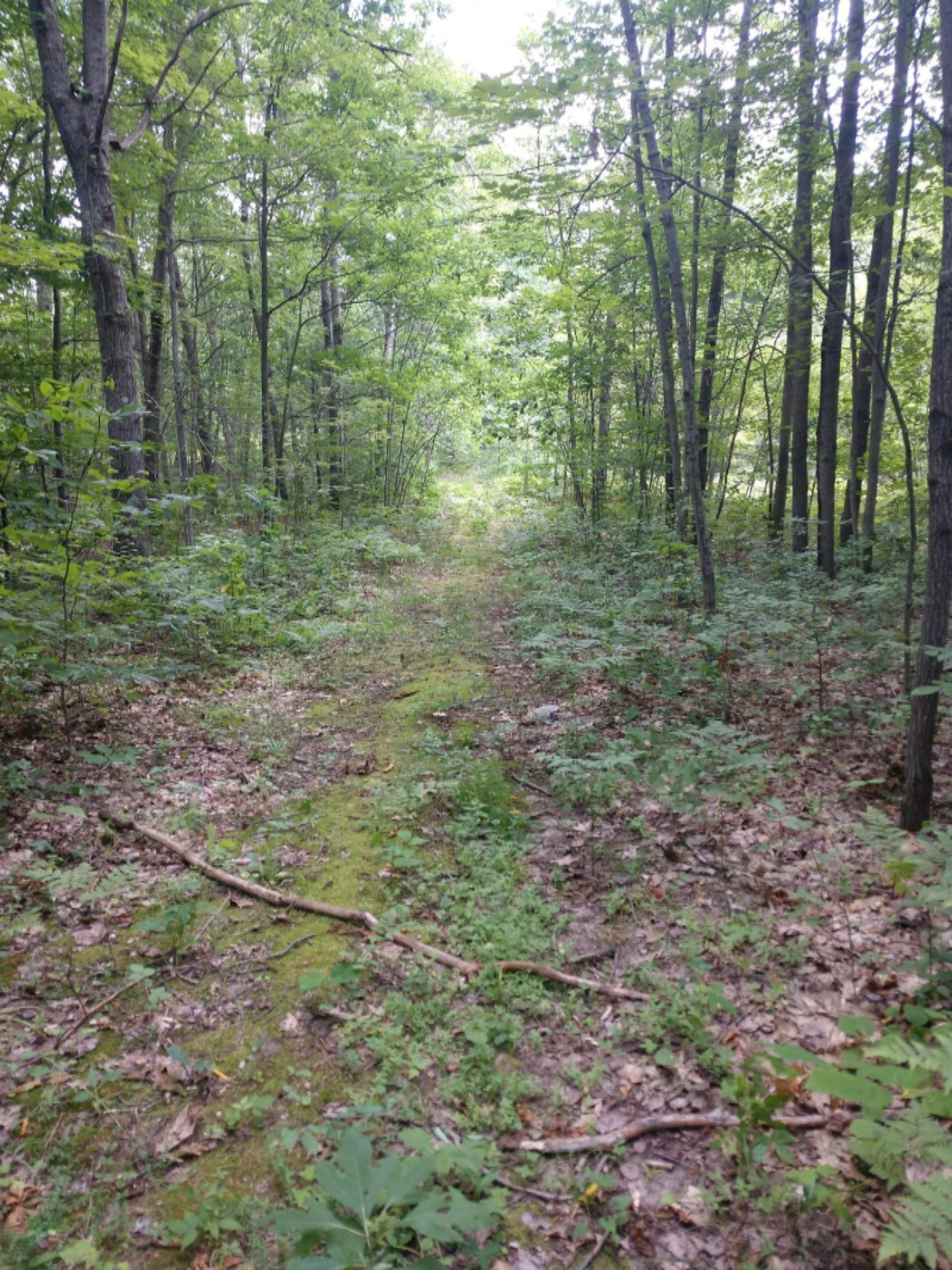 0 East Kent Road, Unit LOT C Rothbury, MI 49452 - Photo 14 of 17 Two track on East side