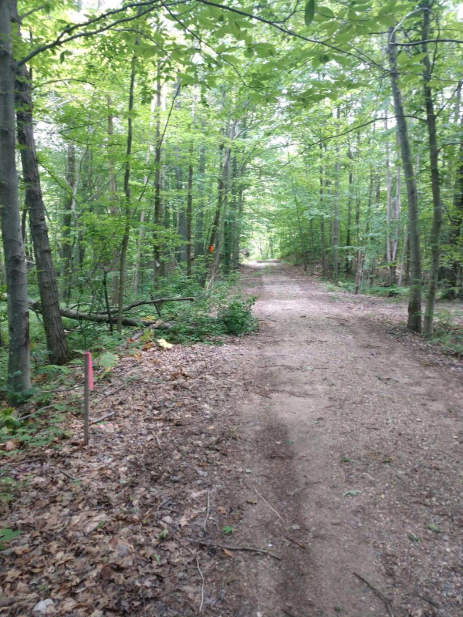 0 East Kent Road, Unit LOT C Rothbury, MI 49452 - Photo 10 of 17 Cleveland rd on North side