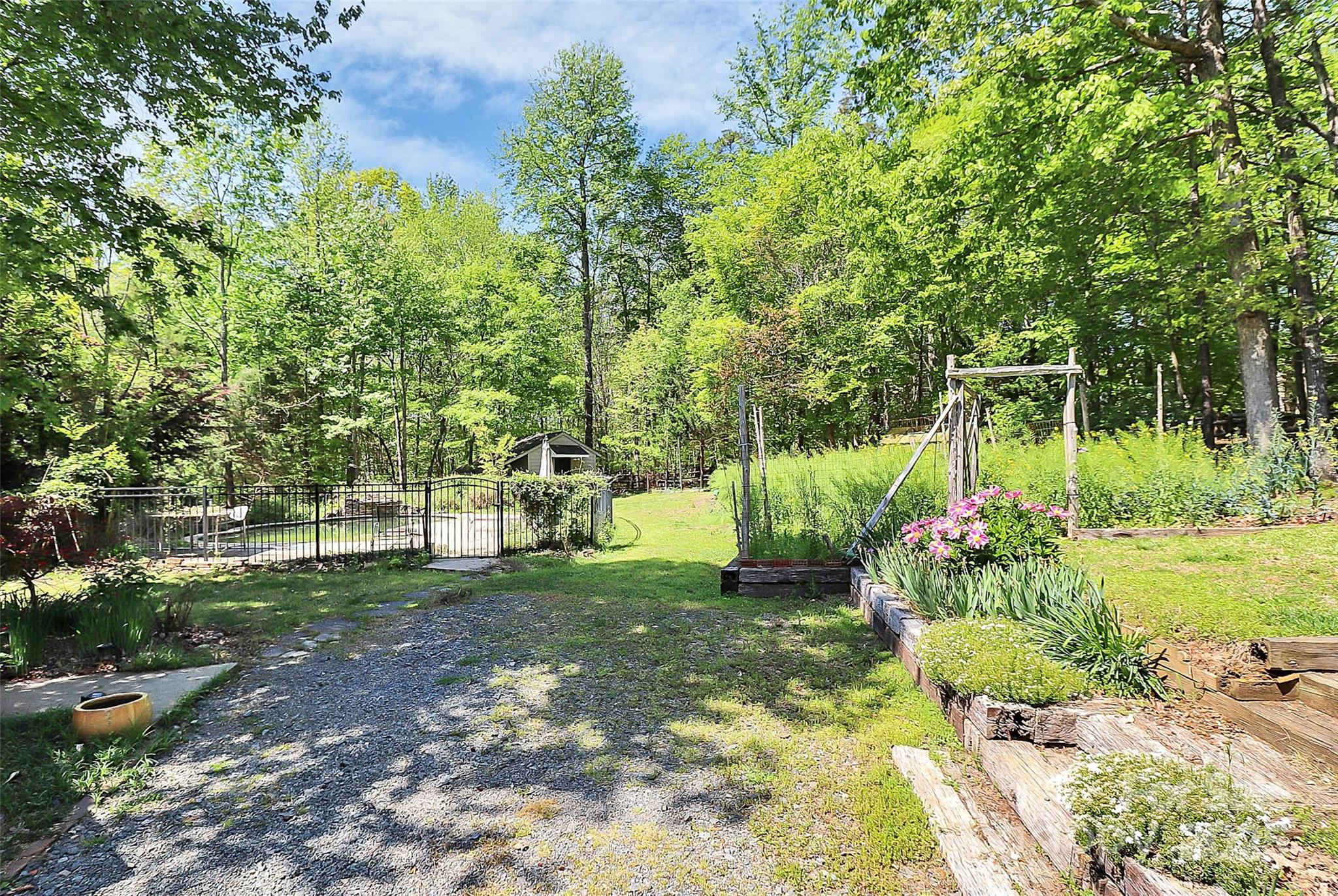 729 Lochaven Road Waxhaw, NC 28173 - Photo 6 of 41 a view of a garden with plants and large trees