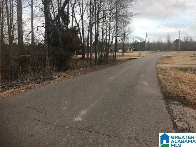 3 Cannie Phillips Road, Unit ACERAGE Sumiton, AL 35148 - Photo 2 of 4