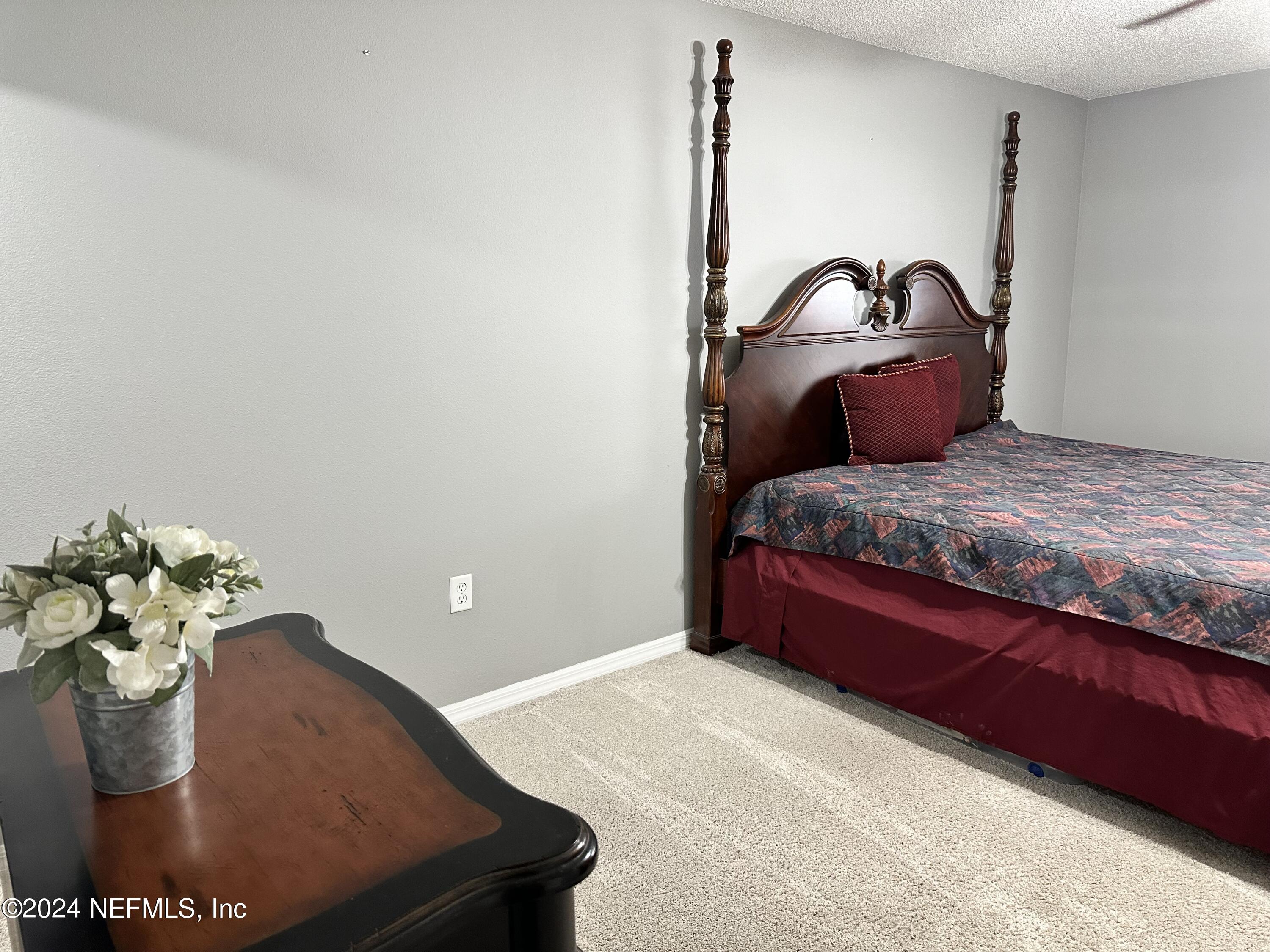 2990 Valkyrie Road Middleburg, FL 32068 - Photo 13 of 26 Owner's Bedroom