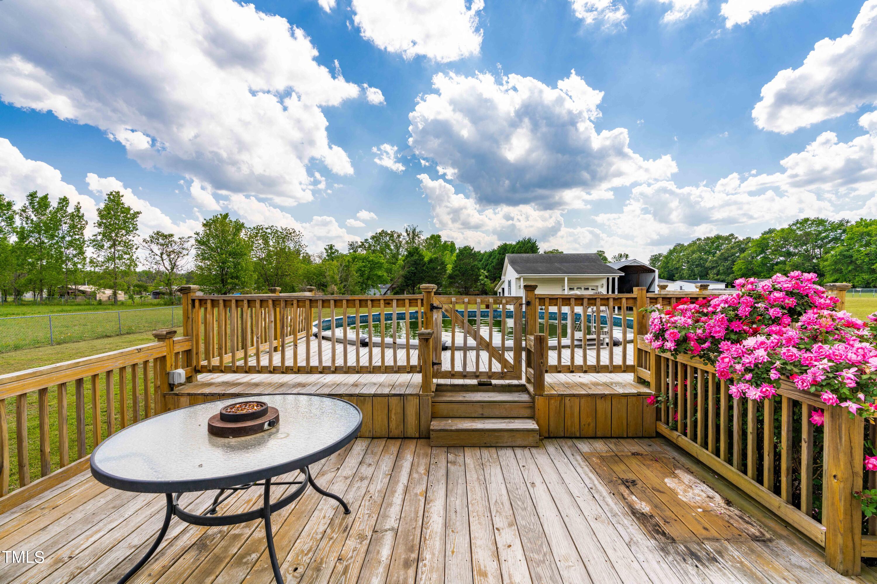 5200 Brogden Road Smithfield, NC 27577 - Photo 26 of 29 5200 Brogden Pool & Deck