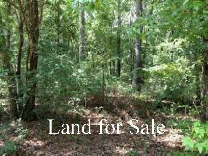 22 Paine Road Pomfret, CT 06259 - Photo 1 of 1