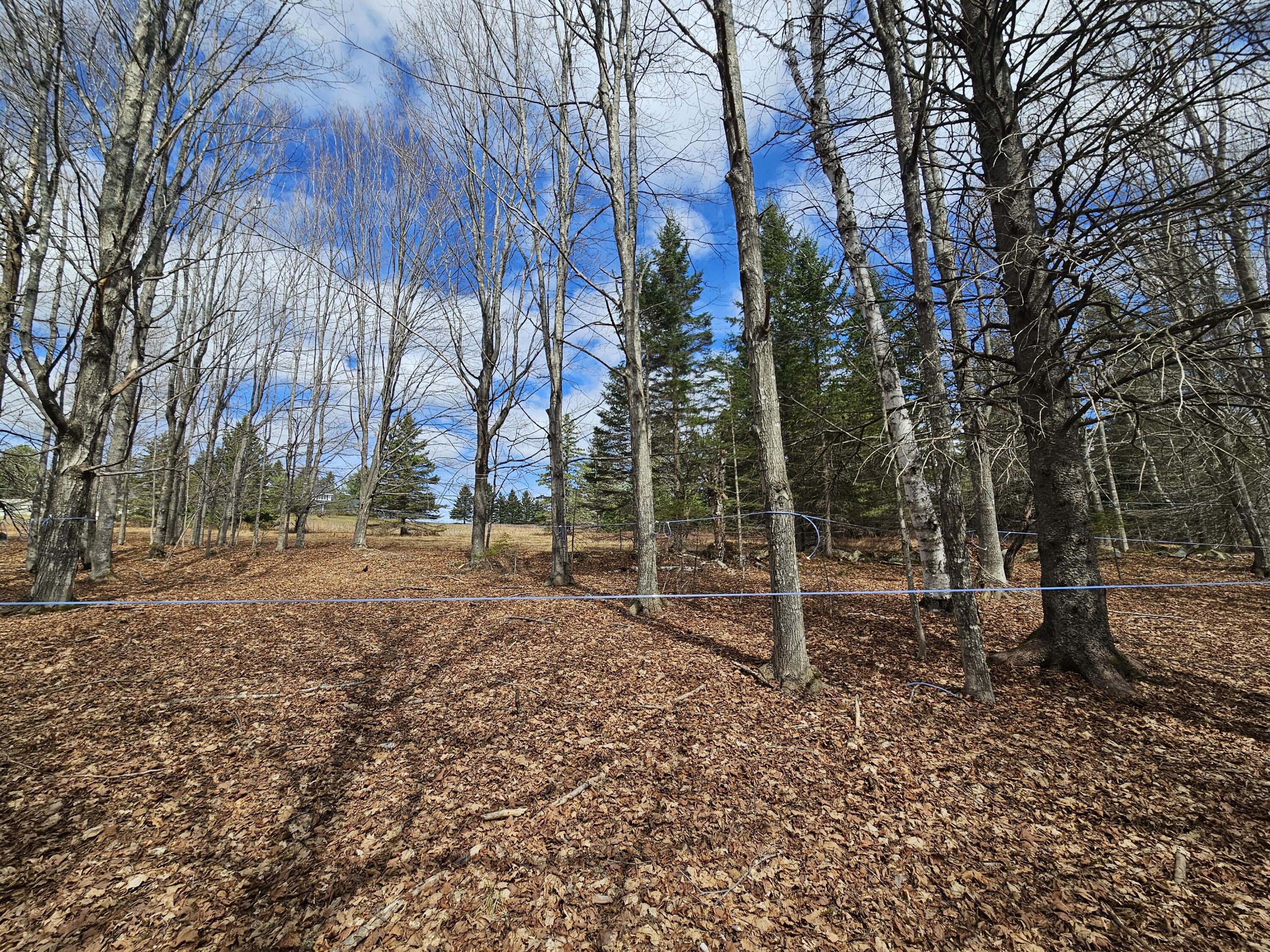 Lot 9 Amber Road Rangeley, ME 04970 - Photo 1 of 8 1000032554