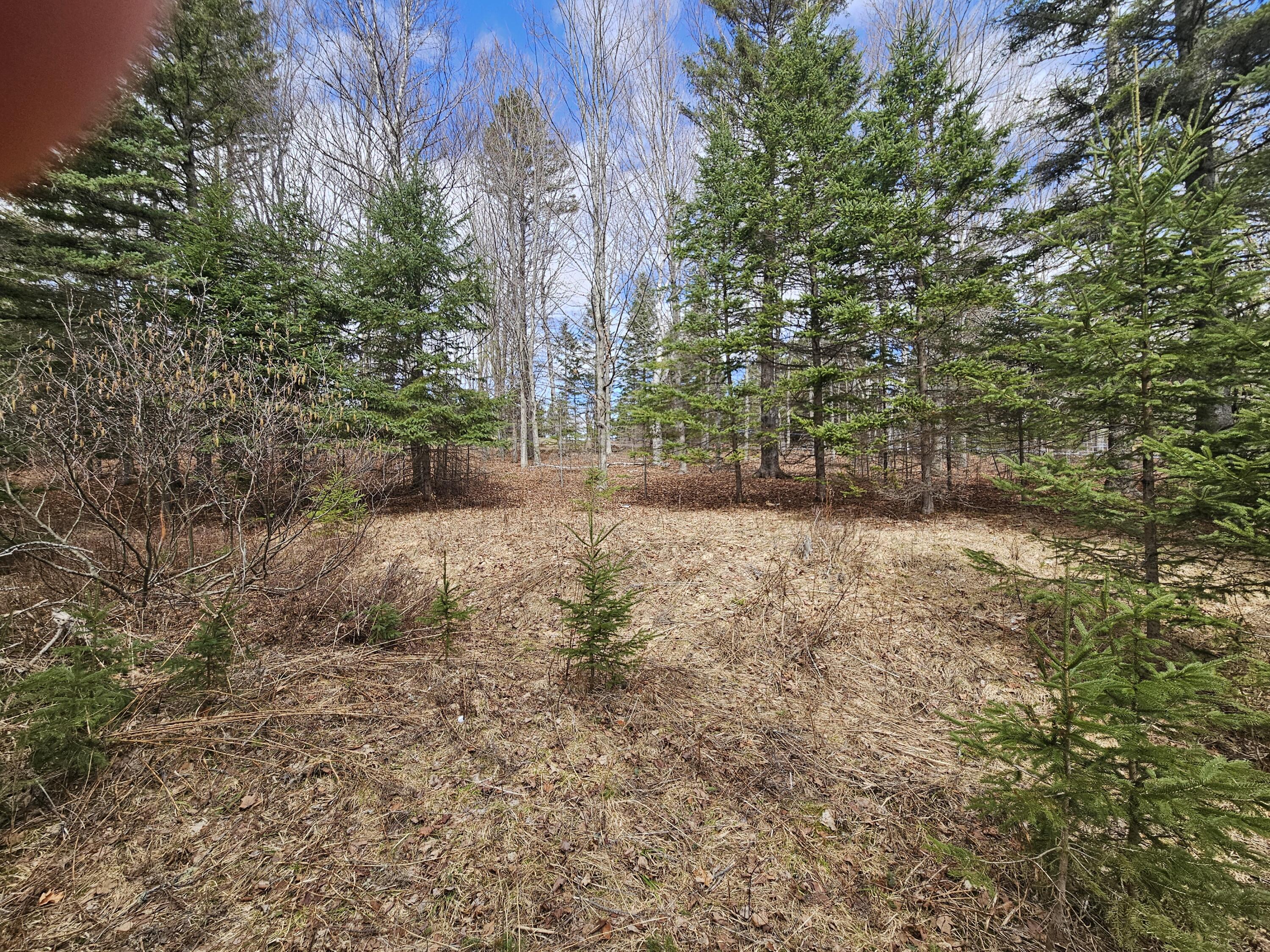 Lot 9 Amber Road Rangeley, ME 04970 - Photo 2 of 8 1000032552