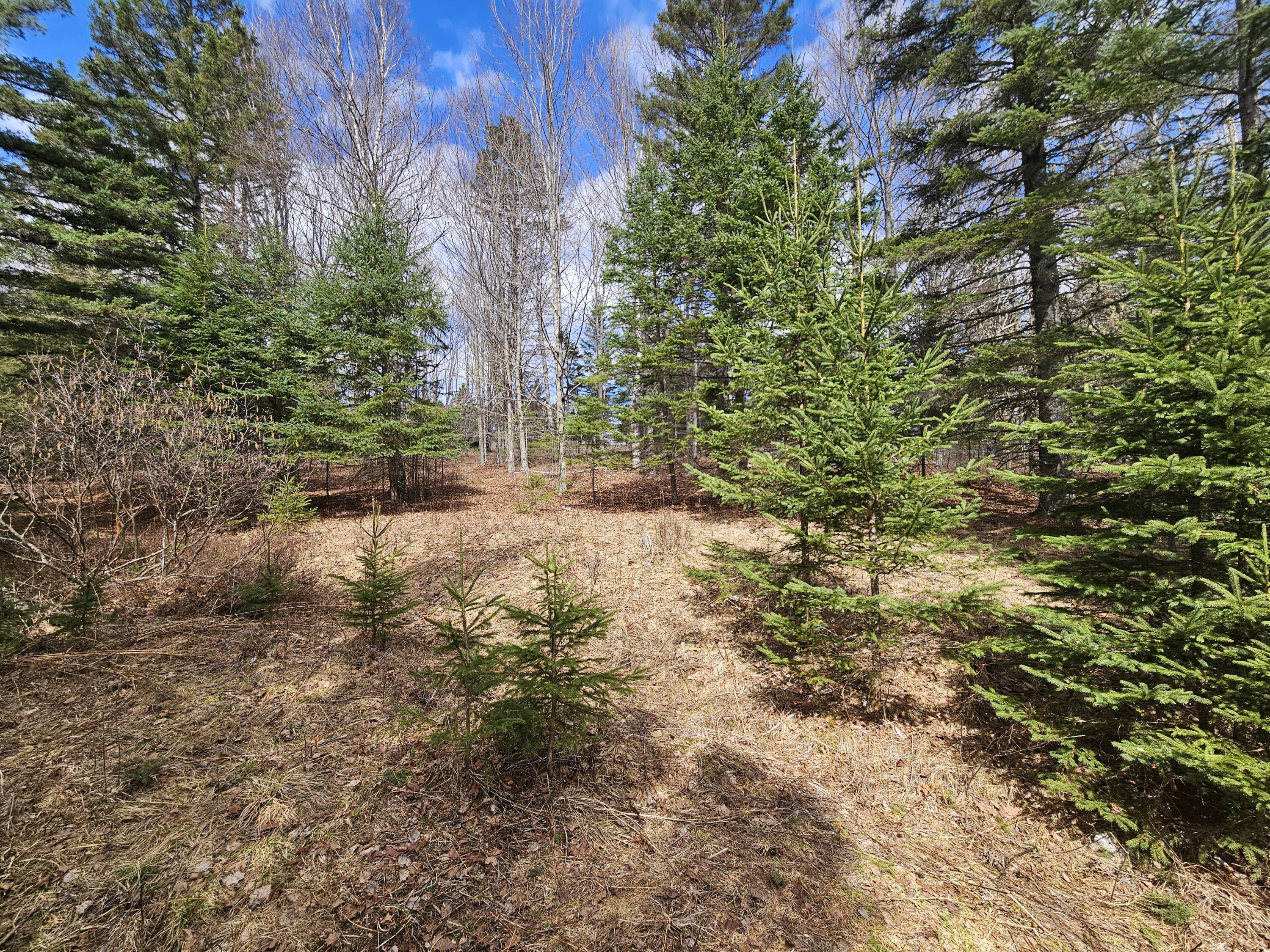 Lot 9 Amber Road Rangeley, ME 04970 - Photo 3 of 8 1000032553