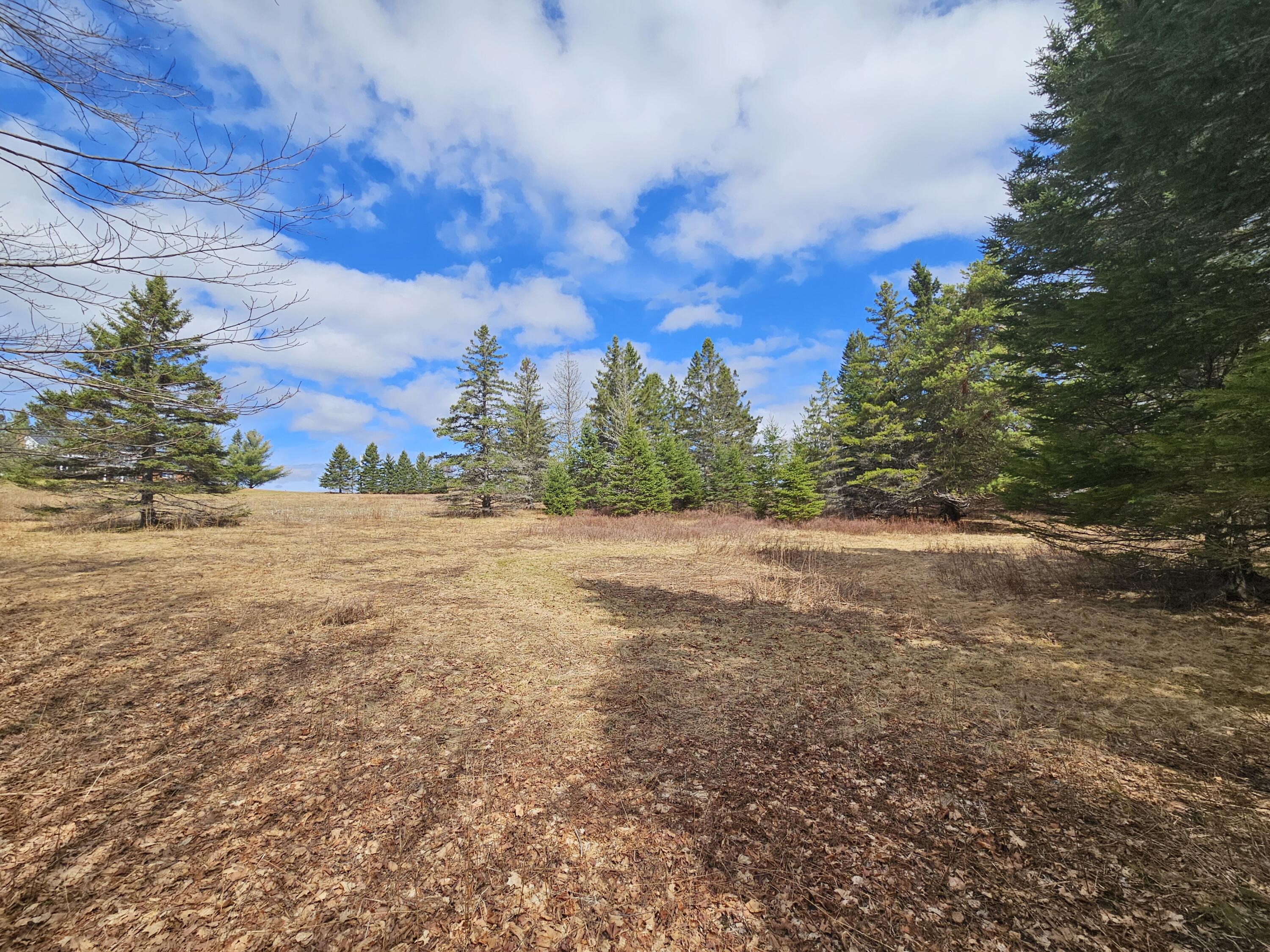 Lot 9 Amber Road Rangeley, ME 04970 - Photo 4 of 8 1000032555