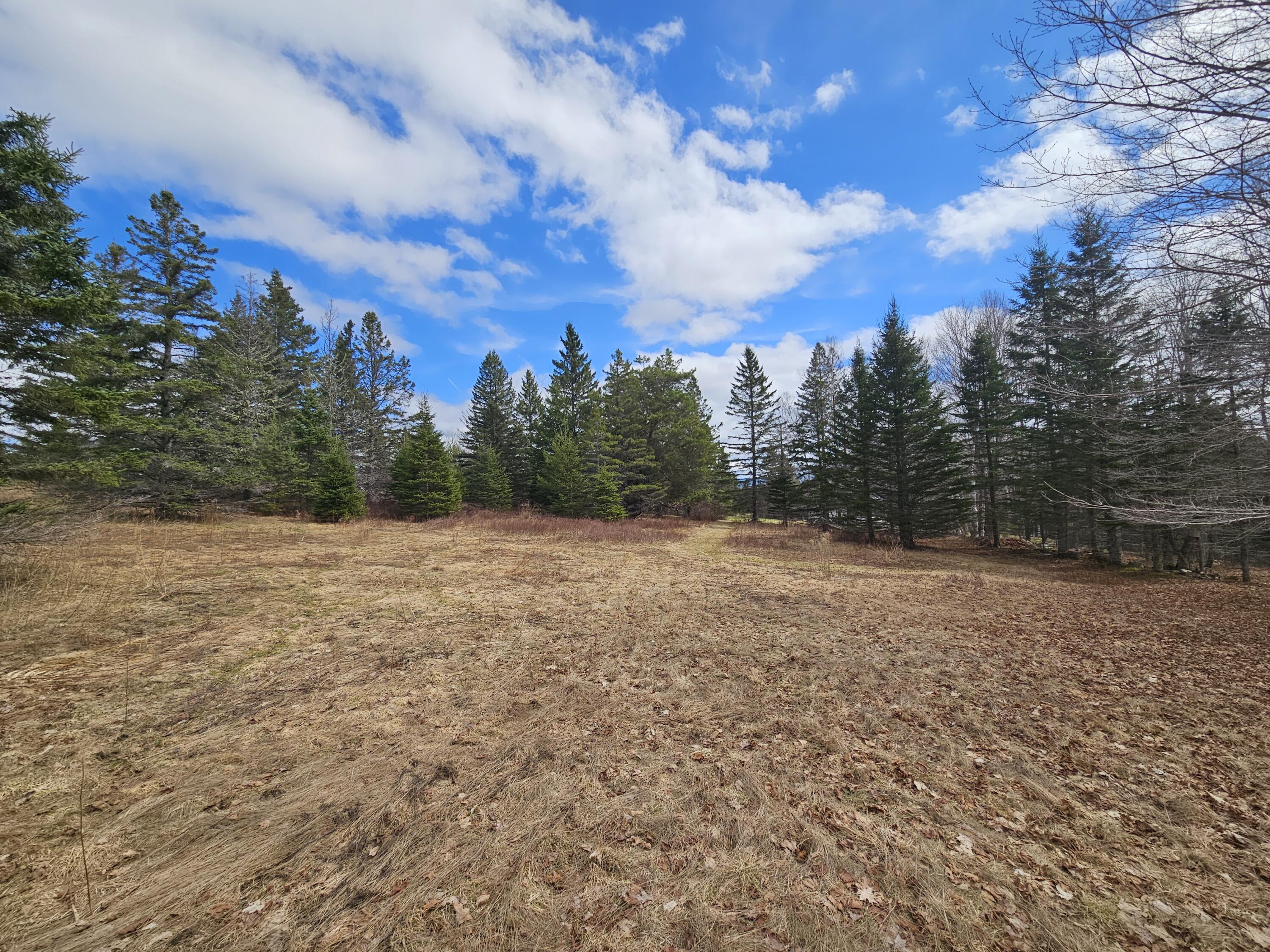 Lot 9 Amber Road Rangeley, ME 04970 - Photo 6 of 8 1000032557
