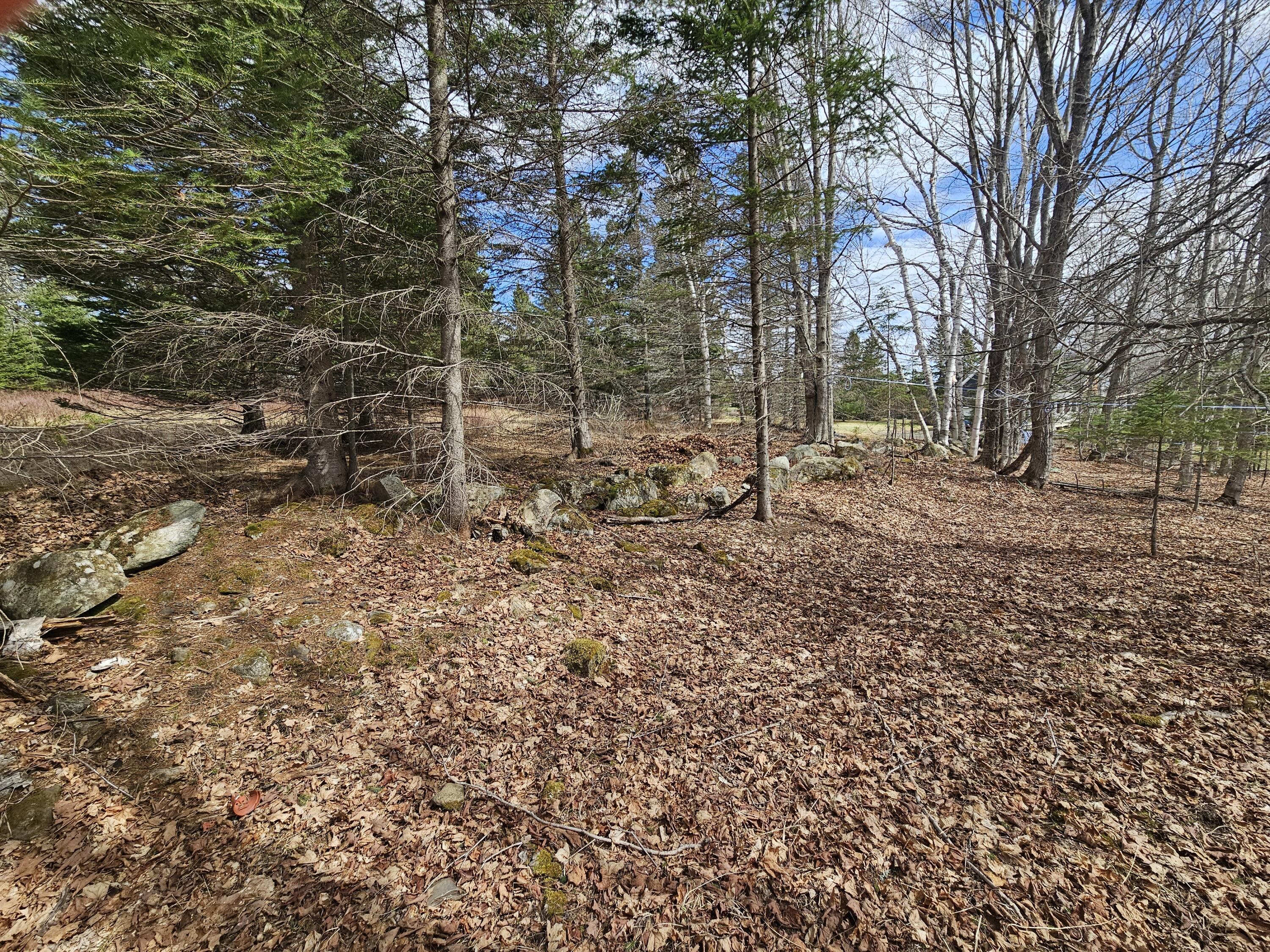 Lot 9 Amber Road Rangeley, ME 04970 - Photo 7 of 8 1000032558
