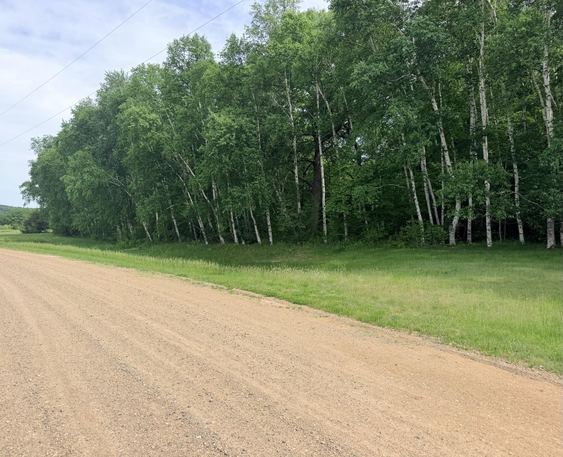 21781 Trestle Ridge Road Albany, MN 56307 - Photo 6 of 13