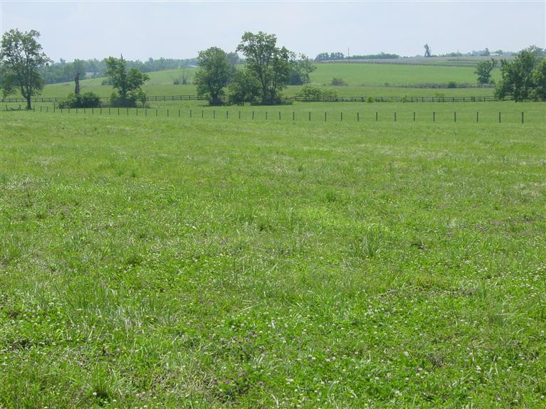 1501 Bethlehem Road Paris, KY 40361 - Photo 2 of 11 Photo 2