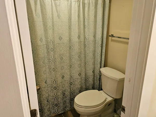 a white toilet sitting next to a shower curtain