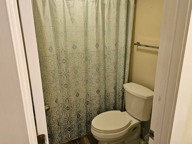 a white toilet sitting next to a shower curtain