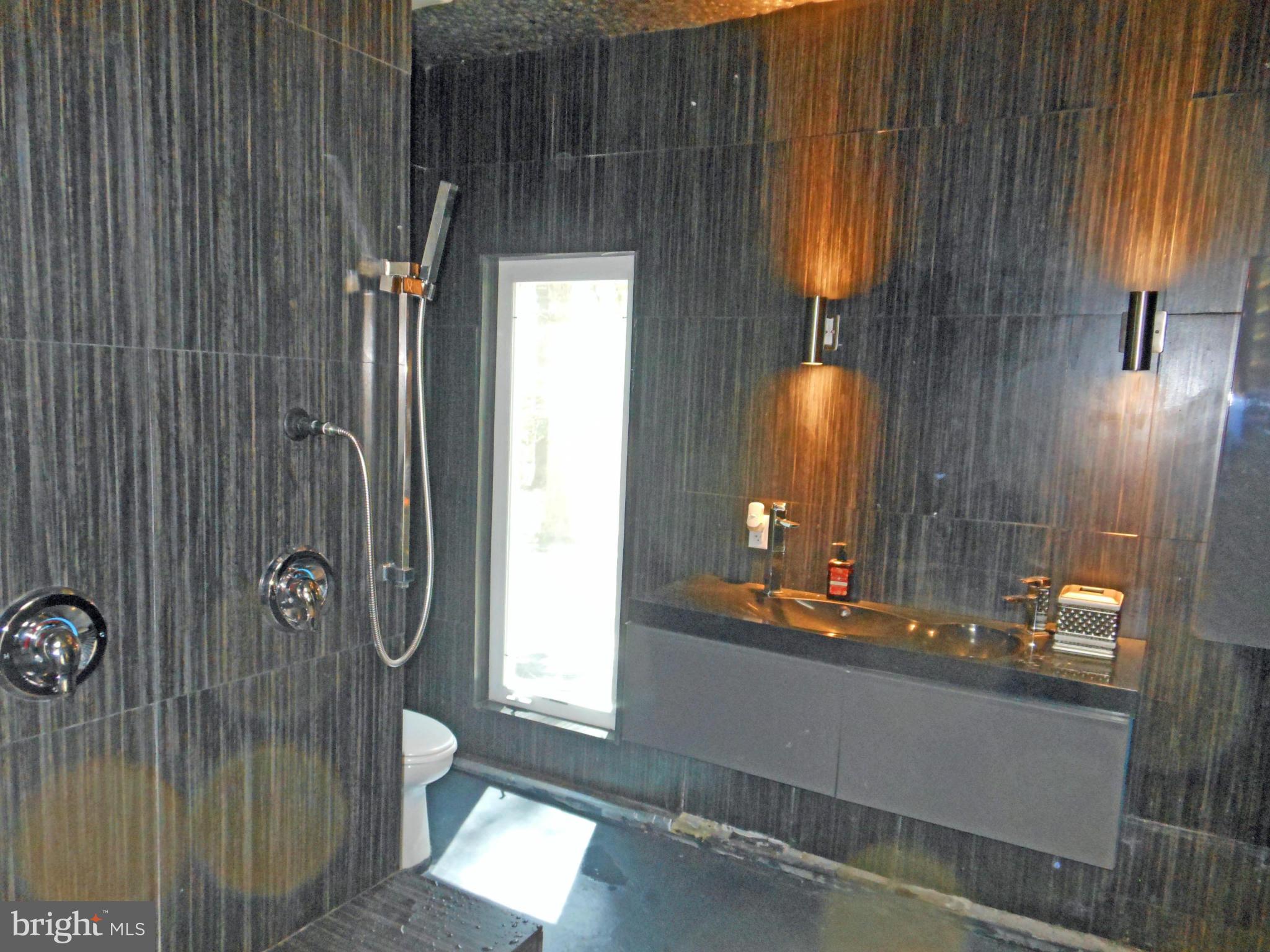 56 Wallace Manor Road Edgewater, MD 21037 - Photo 16 of 26 Wow, this bath will astound you!