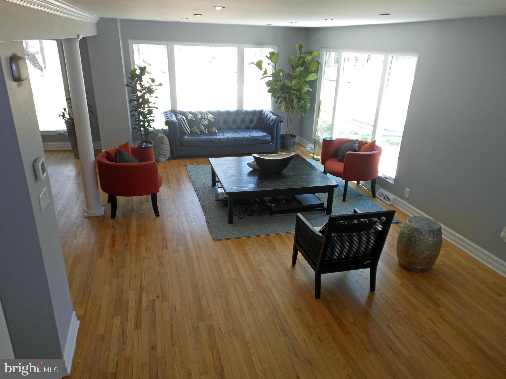 Living Room open to kitchen...so much sun!