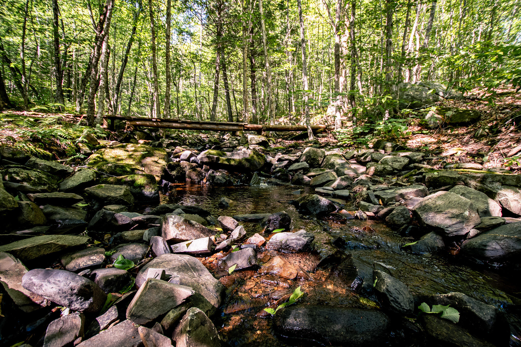 507 Mountain Road Abbot, ME 04406 - Photo 60 of 96 DSC_0443