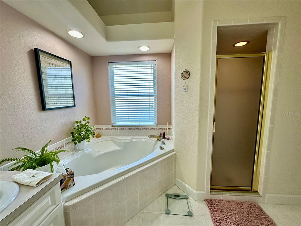 357 Ruby Lake Loop Winter Haven, FL 33884 - Photo 18 of 31 a bath tub sitting next to a window