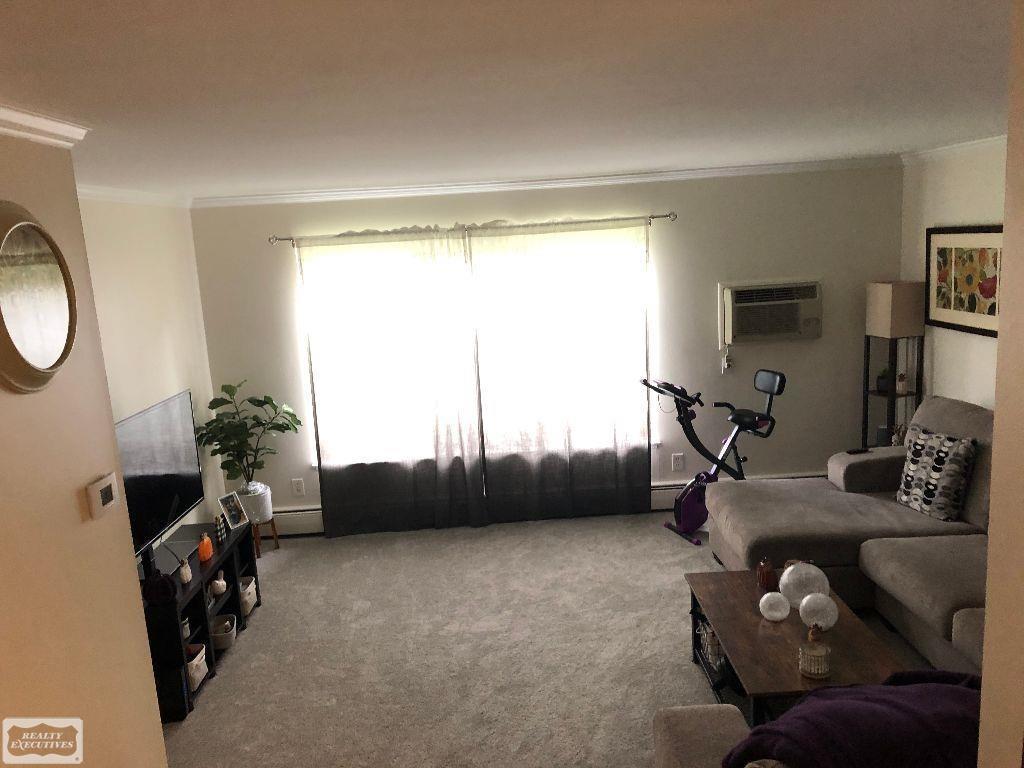 454 Romeo Road Rochester, MI 48307 - Photo 9 of 9 50057954-8.JPG