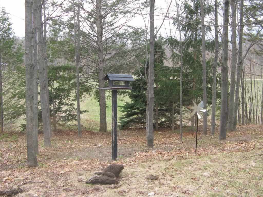 4651 Lemcool Road Grawn, MI 49637 - Photo 39 of 50 1783576-38.JPG