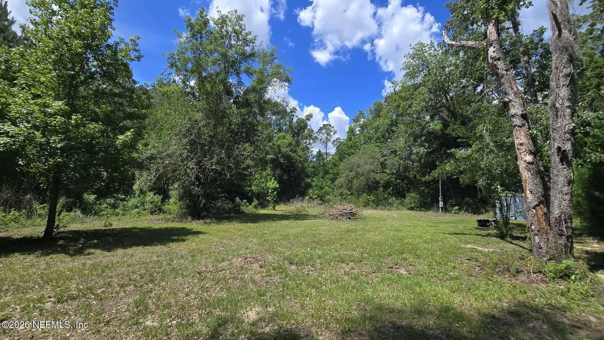 3923 Skipper Road Middleburg, FL 32068 - Photo 10 of 25 a big yard with lots of green space and deers