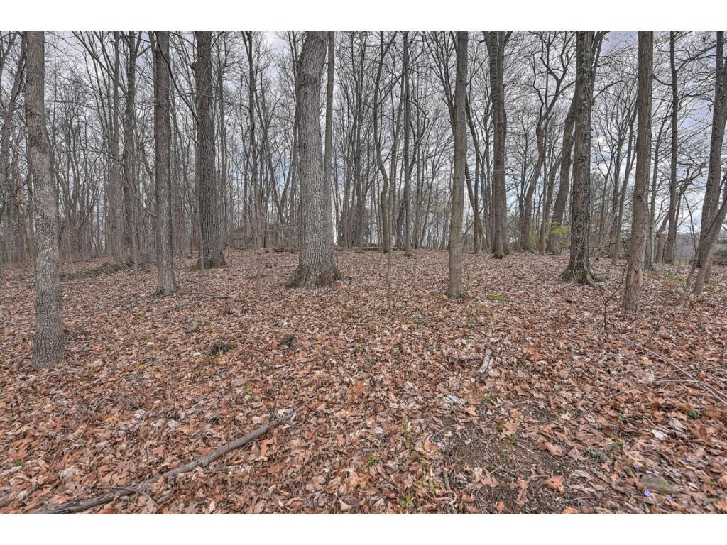 4411 Mitchell Road Kingsport, TN 37664 - Photo 32 of 32 Photo 32