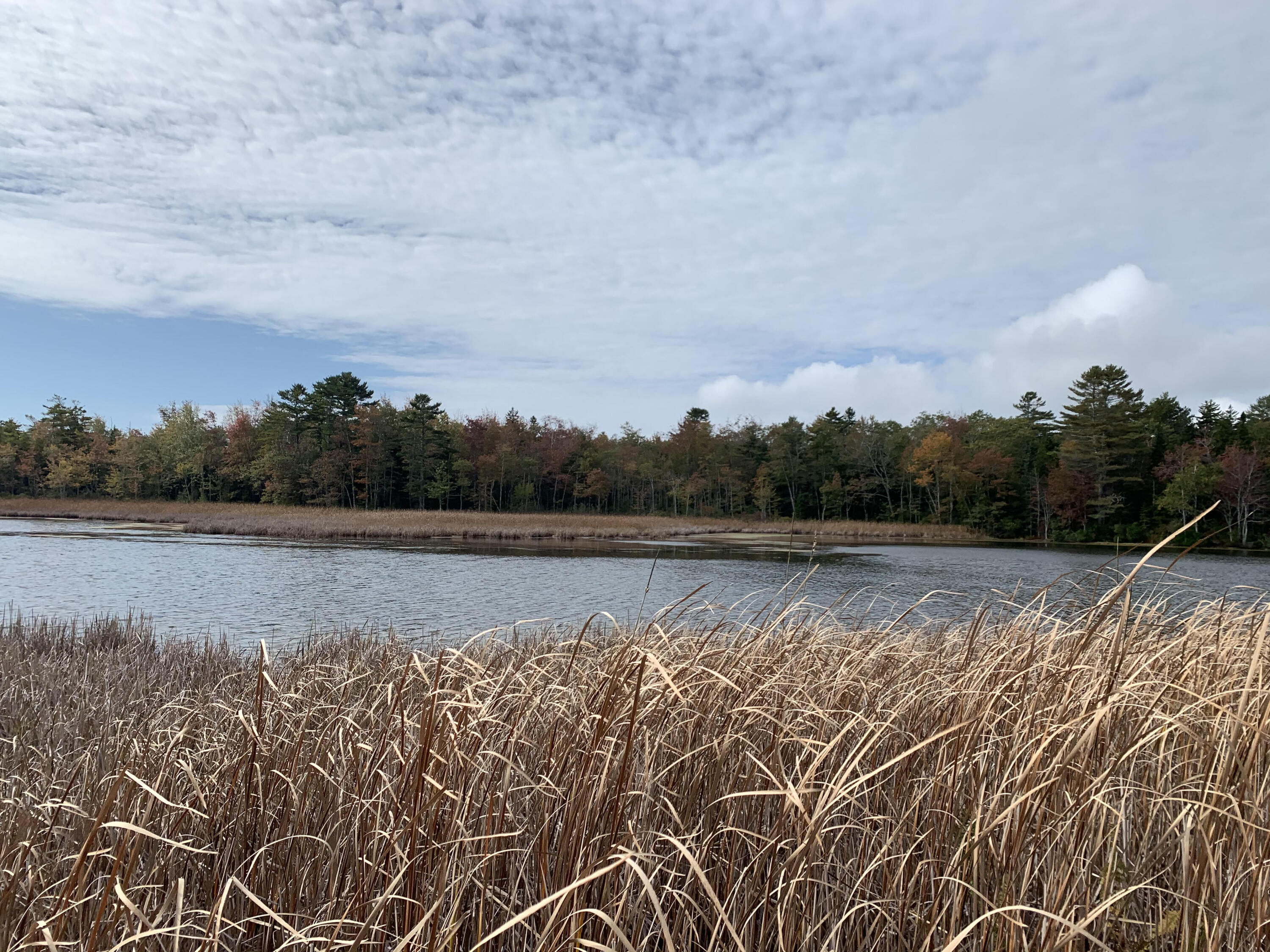 0 Long Point Road Harpswell, ME 04079 - Photo 18 of 19 unnamed 8