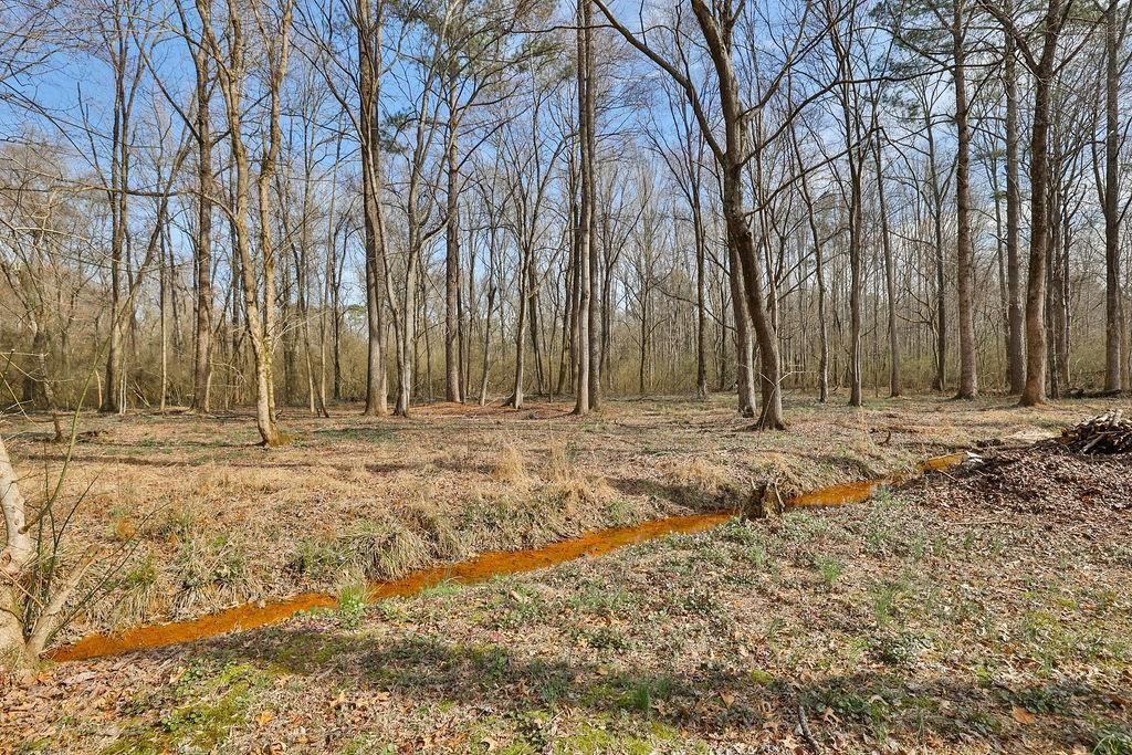 110 Hurt Road Southwest Smyrna, GA 30082 - Photo 3 of 9