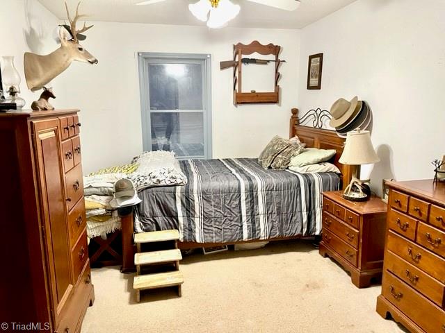 180 Meadow Branch Road Reidsville, NC 27320 - Photo 15 of 20