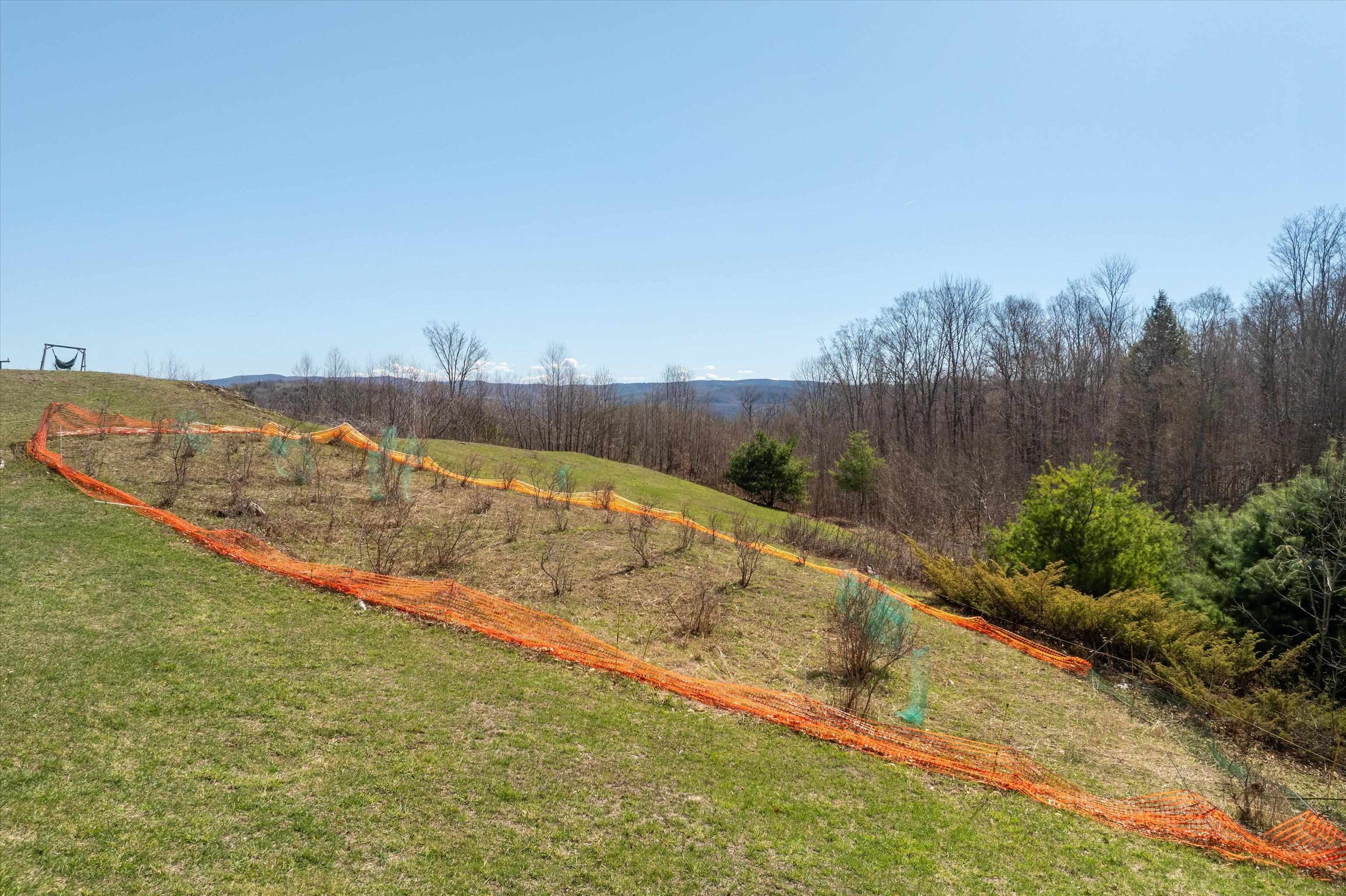 167 Ward Hill Road Tunbridge, VT 05077 - Photo 49 of 60