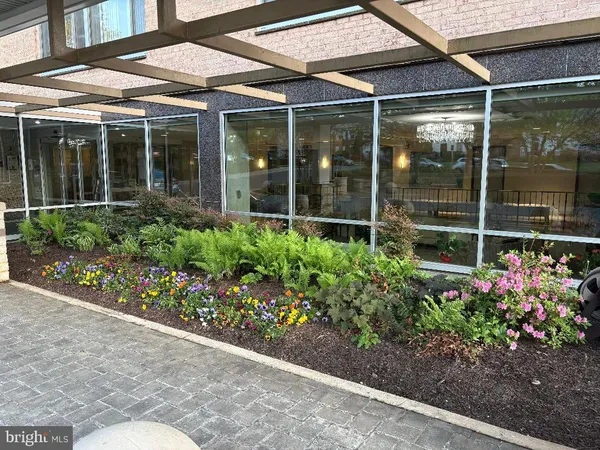 a view of a garden with flower plants