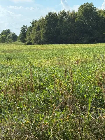 $331,500 | 0 U.S. Highway 412, Hayti, MO 63851