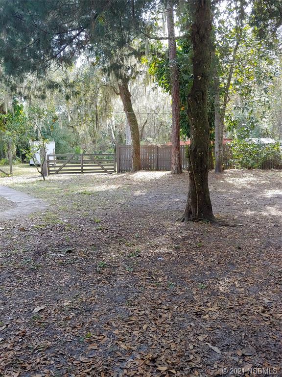 4198 Liza Clinton Road Edgewater, FL 32141 - Photo 8 of 10 Gallery Image 8