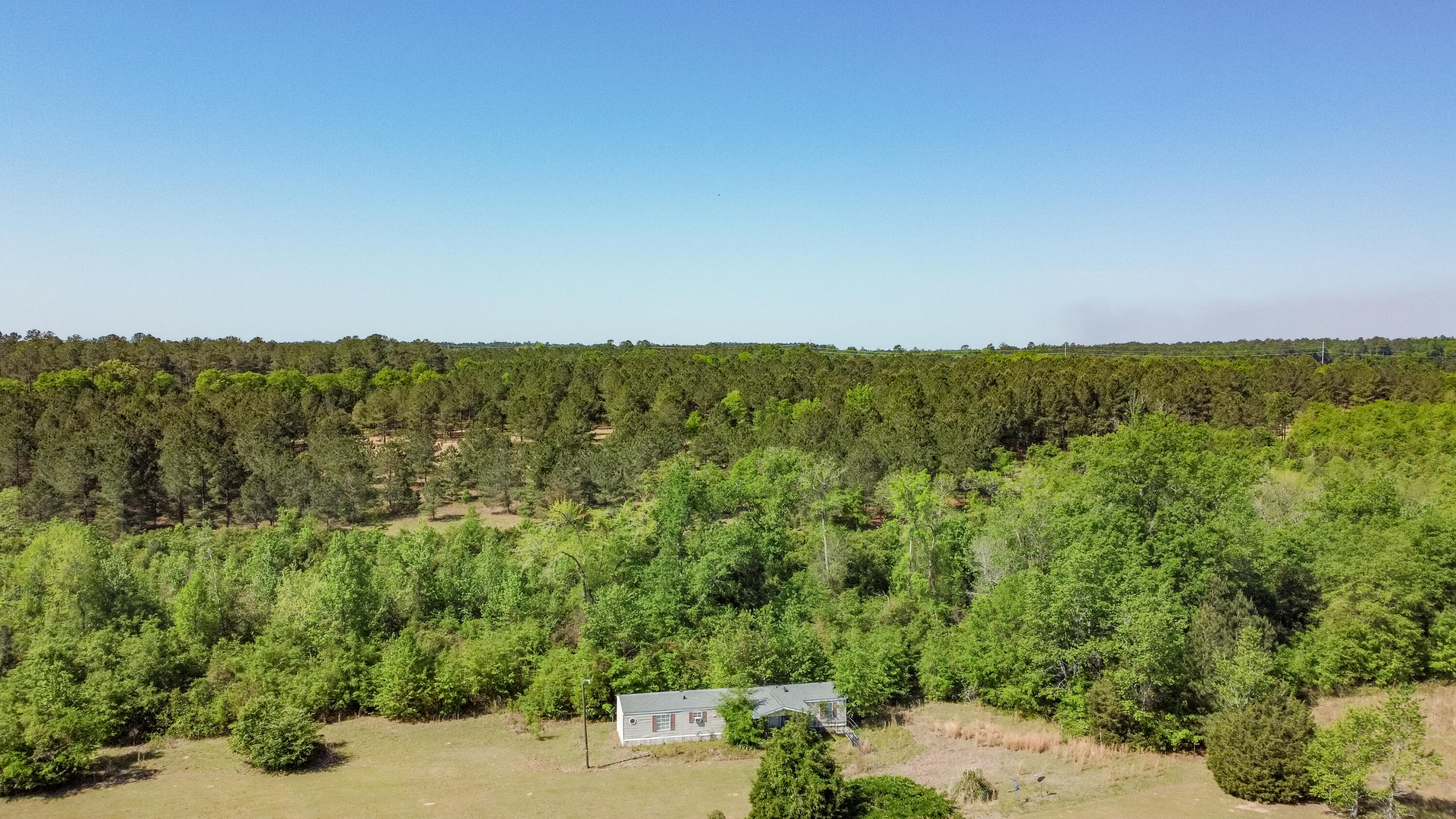 3031 Firetower Road Salley, SC 29137 - Photo 13 of 23