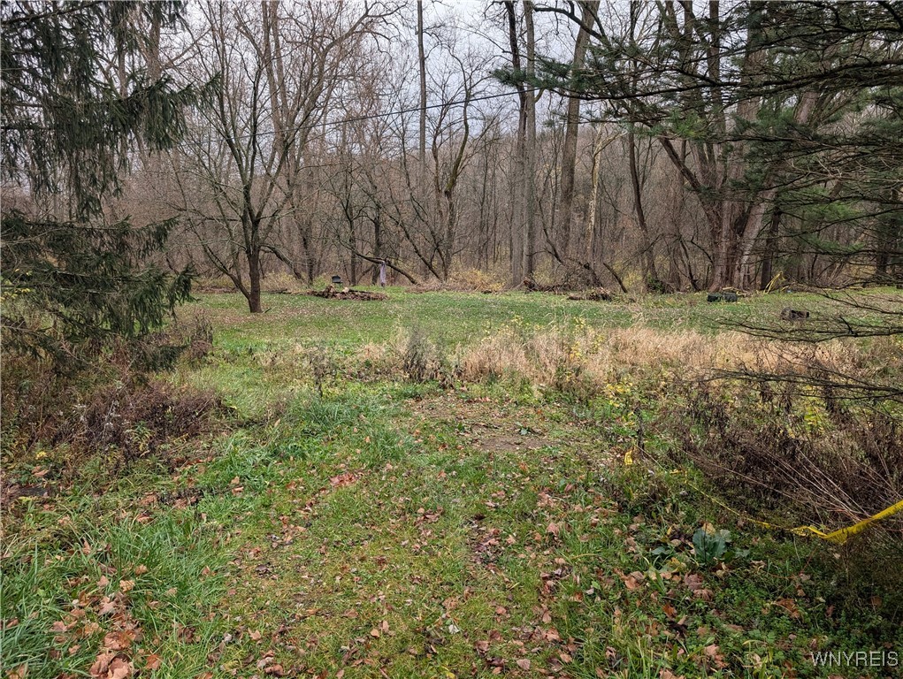 3825 Creek Road Chaffee, NY 14030 - Photo 2 of 9