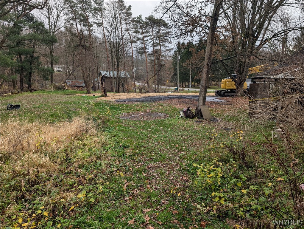 3825 Creek Road Chaffee, NY 14030 - Photo 4 of 9