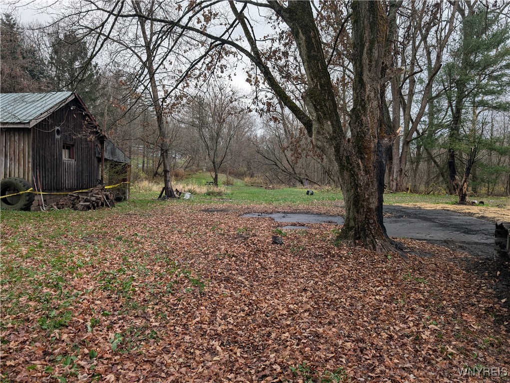 3825 Creek Road Chaffee, NY 14030 - Photo 5 of 9