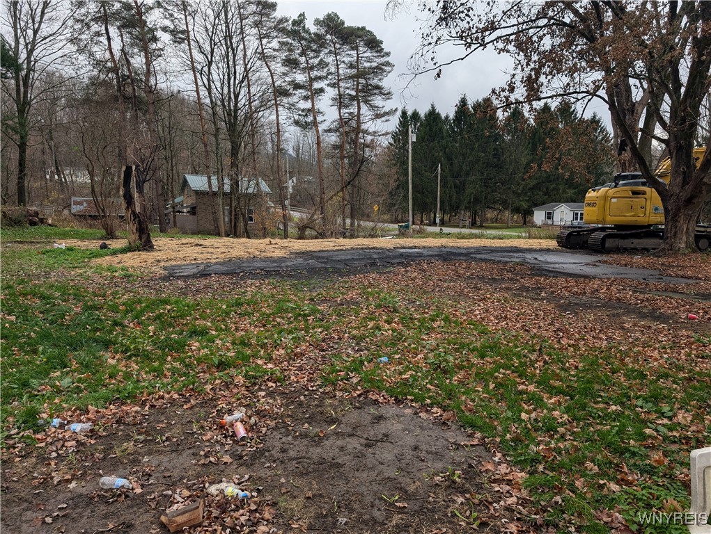 3825 Creek Road Chaffee, NY 14030 - Photo 6 of 9