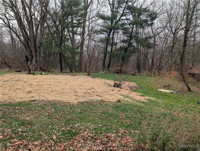 $37,885 | 3825 Creek Road, Yorkshire, NY 14030