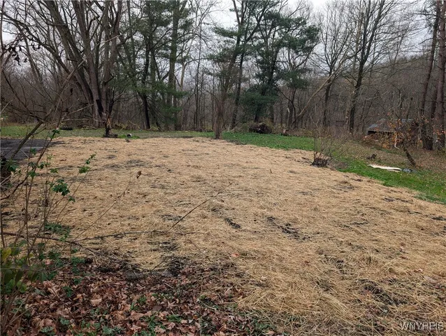 $37,885 | 3825 Creek Road, Yorkshire, NY 14030