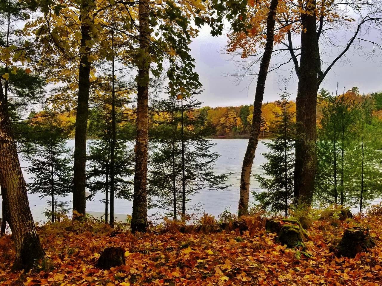 6485 North Forest Lake Road Land O'Lakes, WI 54540 - Photo 23 of 31 Gallery Image 23