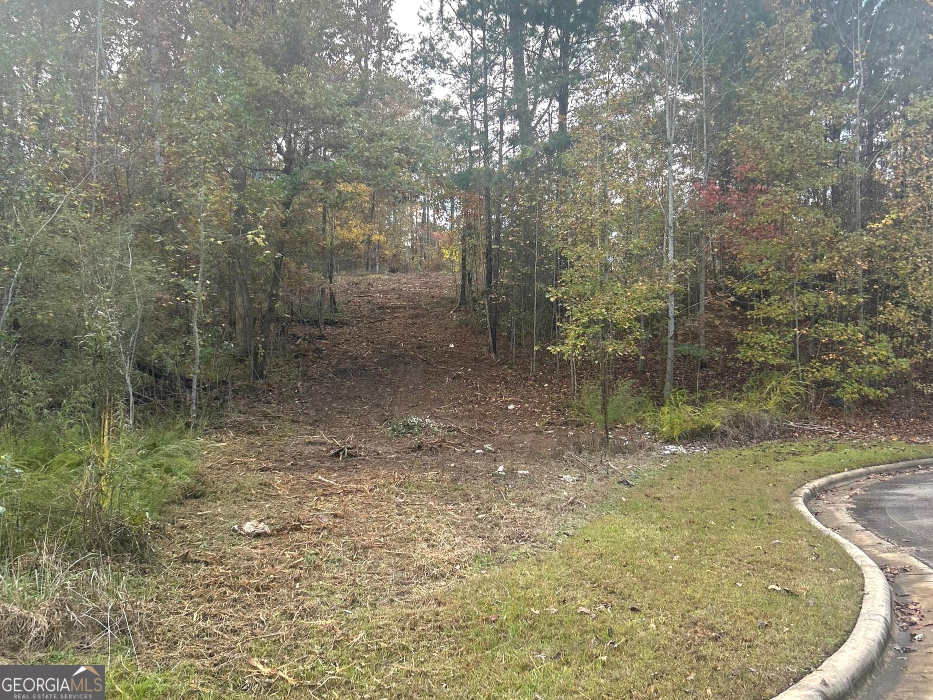 Lot 36 Crestview Lane Jackson, GA 30233 - Photo 2 of 9 gentle drive up to a level building lot
