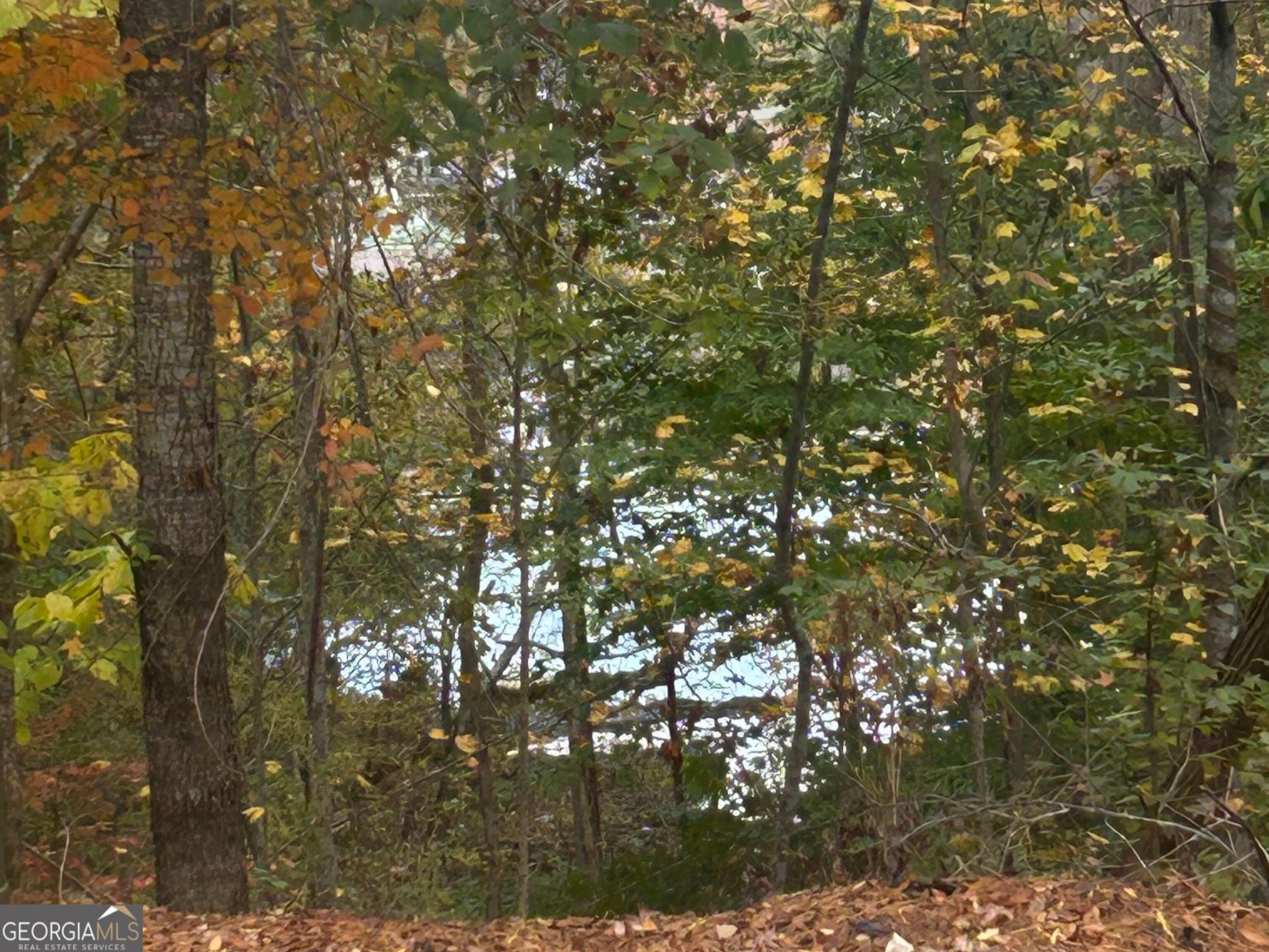 Lot 36 Crestview Lane Jackson, GA 30233 - Photo 3 of 9 Gorgeous Lake view